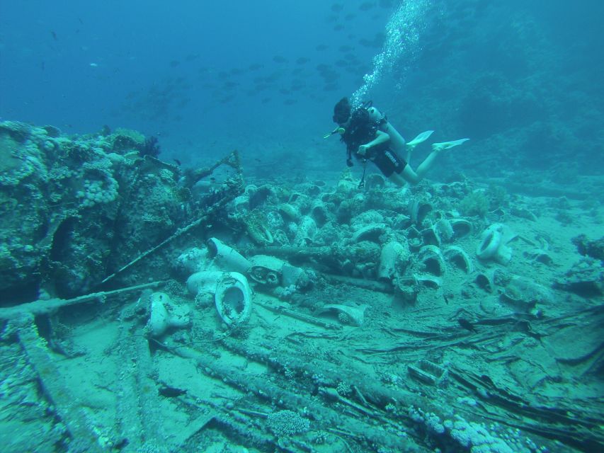 Tiran Island: Full-day Snorkeling, Diving Boat Trip - Tiran Island and Ras Muhammad: Why this trip is more than a boat ride