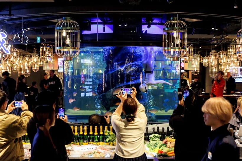 Tokyo: Japanese Experiece Dinner with Diving Ama Performance - Key highlights to look for