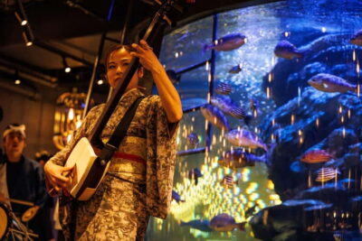 Tokyo: Japanese Experiece Dinner with Diving Ama Performance - The Ama fisher performance: watch a 2,000+ year tradition up close