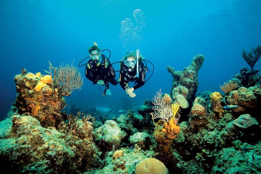 Tossa de Mar: Scuba Diving Experience for Beginners - Key points that matter before you book