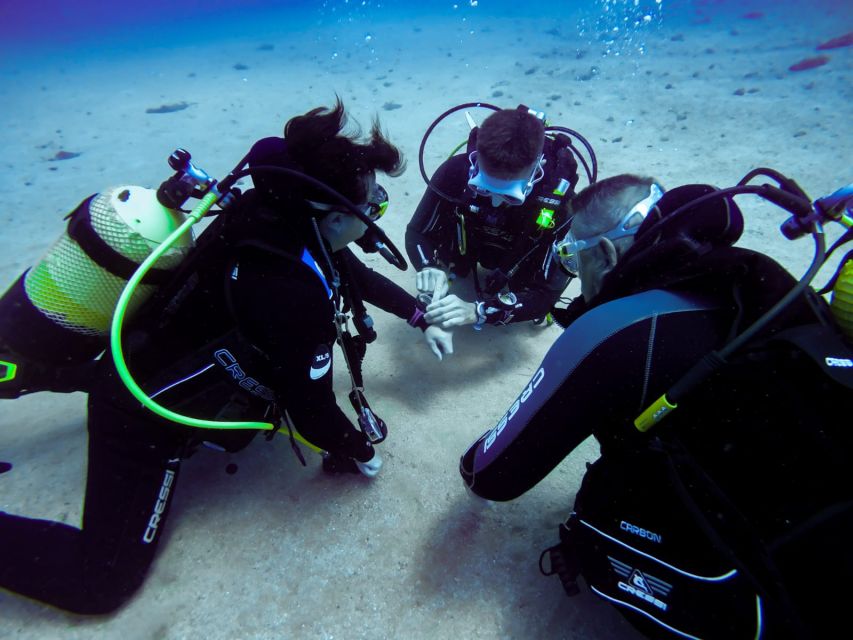 Tossa de Mar: Scuba Diving Experience for Beginners - Instructors and small-group care: the reason beginners feel safe