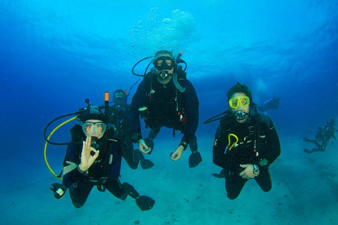 Tossa de Mar Scuba Diving PADI - Your guided underwater session: marine life with built-in support