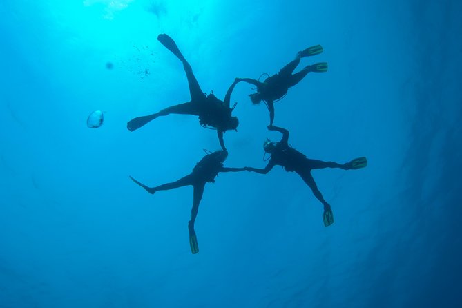 Tossa de Mar Scuba Diving PADI - Managing expectations: the one drawback you should not ignore