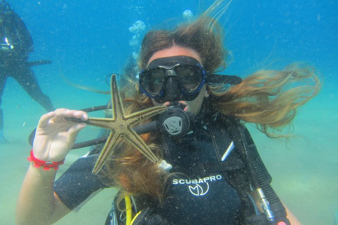 Try a DIVE, discover scuba diving in Mykonos - The 90-Minute Mini Course: What You Learn Before Entering