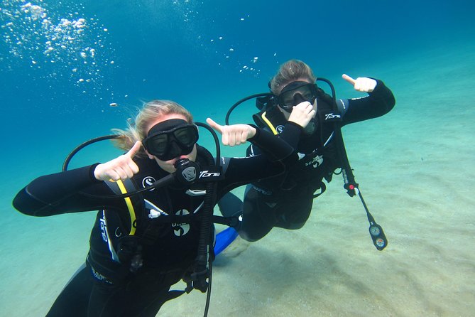 Try a DIVE, discover scuba diving in Mykonos - Group Size: Maximum 15 and Why That Changes the Feel