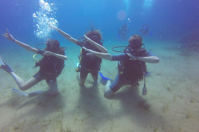 Try a DIVE, discover scuba diving in Mykonos - Price and Value: What $193.57 Buys You