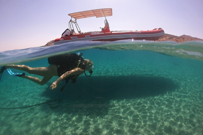 Try a DIVE, discover scuba diving in Mykonos - The Open-Water Swim at Lia Reef: Expect Shallow Skills, Real Marine Life