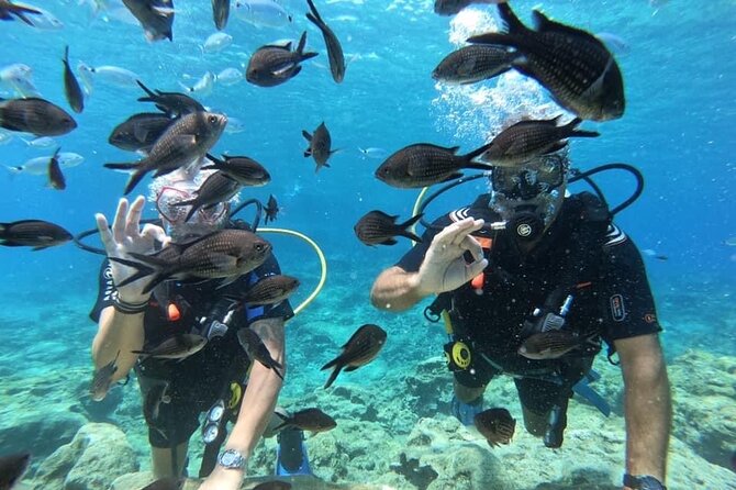 Try a Scuba Diving Experience - The Underwater Moment: What You Might See