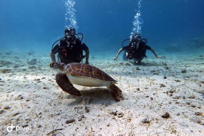 Try a Scuba Diving Experience - Photos and Video: The Included Memory You’ll Actually Want