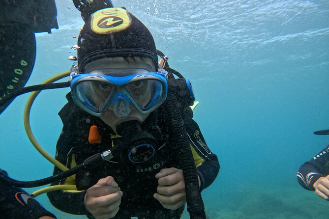 Try Dive in Abades Bay with a private instructor - Reef life you can spot close to shore