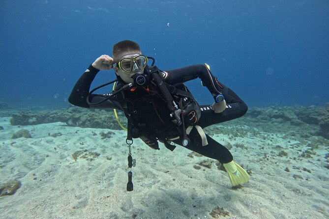 Try Dive in Abades Bay with a private instructor - Who this suits best (and who should think twice)