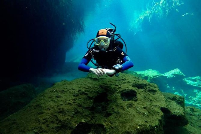 Try dive in beautiful Casa cenote for 2 people - Two underwater sessions at shallow depth (about 40 minutes each)
