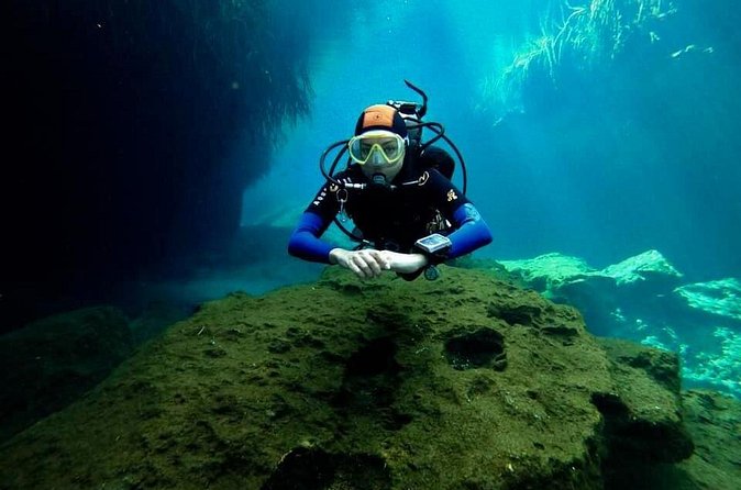 Try dive in beautiful Casa cenote for 2 people - What you’ll see: light on rocks, mangroves, fish, and blue crabs