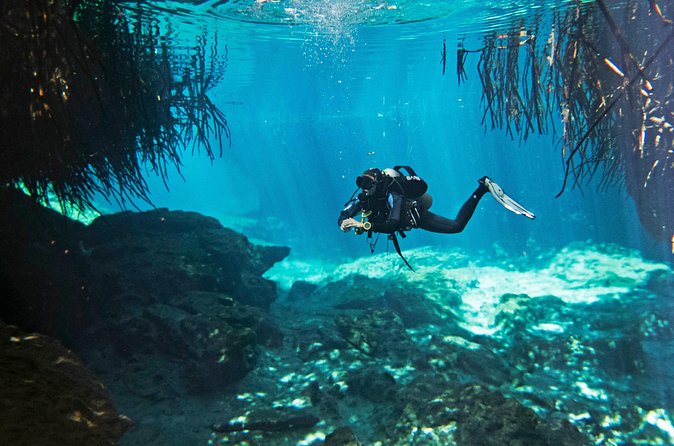 Try dive in beautiful Casa cenote for 2 people - Snacks, equipment, and the photo/video question