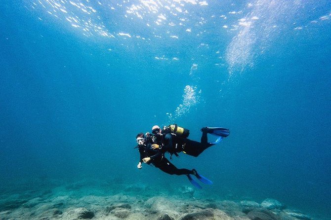 Try Dive in Tenerife - Key things that make this try-underwater experience worth it