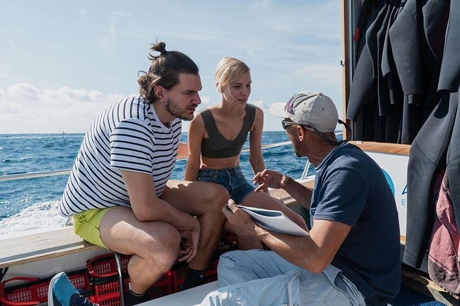 Try Dive in Tenerife - From Puerto Colón to Puertito de Adeje: how the day flows