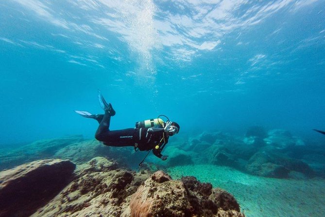 Try Dive in Tenerife - Price and value: what $89.87 really buys you