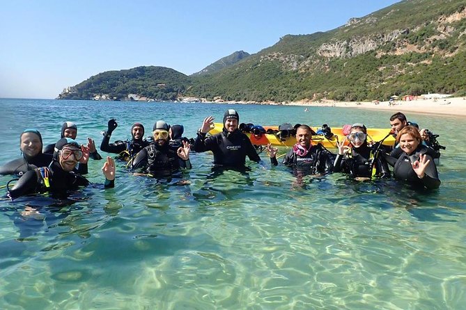 Try Dive Marine Reserve, Arrábida, Setúbal, Sesimbra, near Lisbon - Key highlights you should know