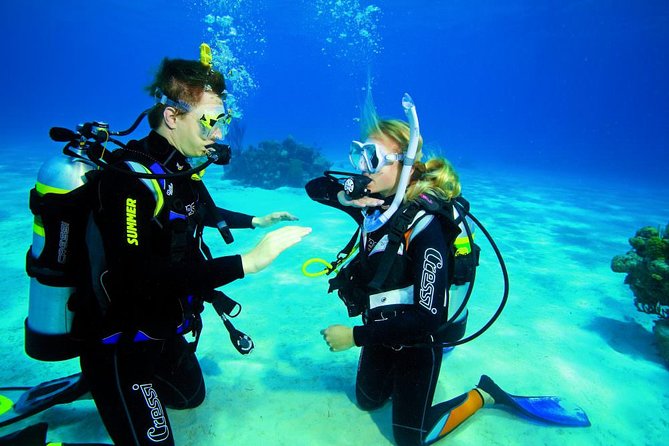 Try Dive - PADI Discover Scuba Diving in Tenerife - What you’ll actually see (and why people feel amazed fast)