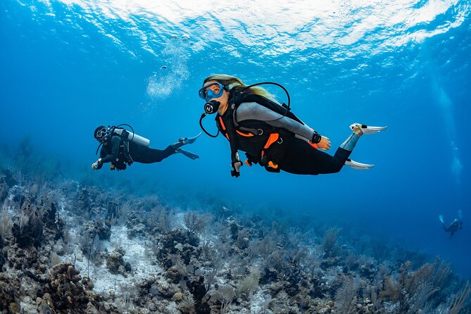 Try Dive - PADI Discover Scuba Diving in Tenerife - The land practice that makes the water part feel manageable