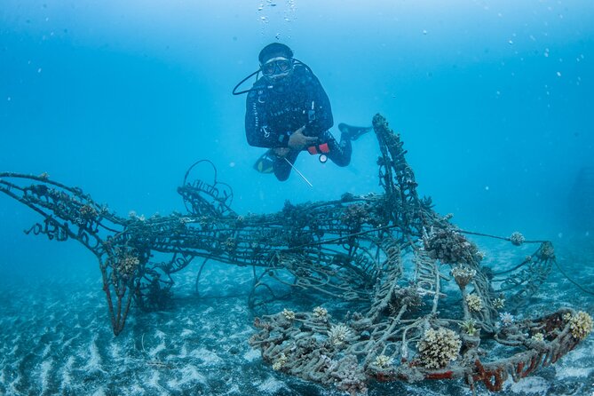 Try Dive Program in the Biorock Pemuteran - Key Highlights You’ll Actually Care About