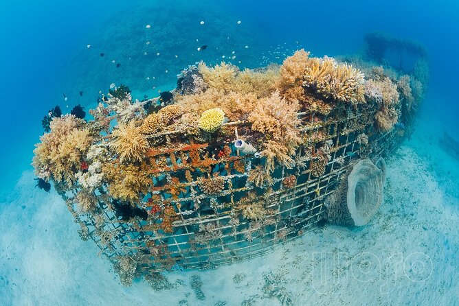 Try Dive Program in the Biorock Pemuteran - The Biorock Pemuteran Session: Short Time, Real Meaning