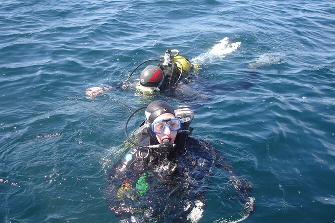 Try Dives - Discover Scuba Diving in Albufeira - Classroom basics you’ll actually use
