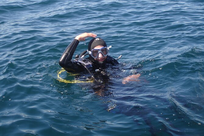 Try Dives - Discover Scuba Diving in Albufeira - Price and value: what $157.22 is really paying for