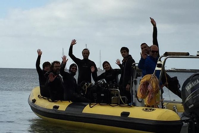 Try diving, breathing underwater Lisbon region - From Sesimbra Meeting Point to the Setúbal Coast (And Back Again)