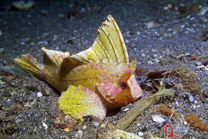 Try Diving in Blue Lagoon Padangbai Bali for non-certified divers - Padang Bai Fishing Village stop: quick local flavor before the water