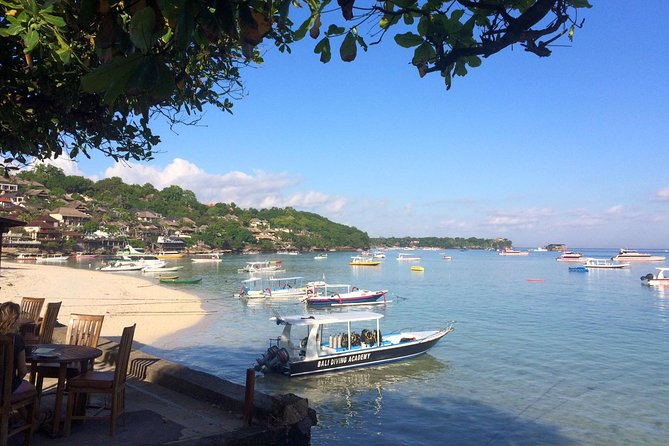 Try Diving in Nusa Lembongan - Penida. For beginners (with 2 ocean dives) - Where you go: Nusa Lembongan–Penida sites built for mantas and mola mola