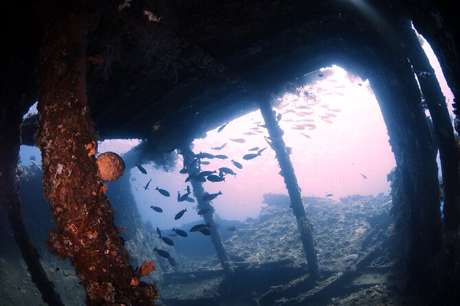 Try Diving in Tulamben - Shipwreck - Key reasons this Tulamben shipwreck day works