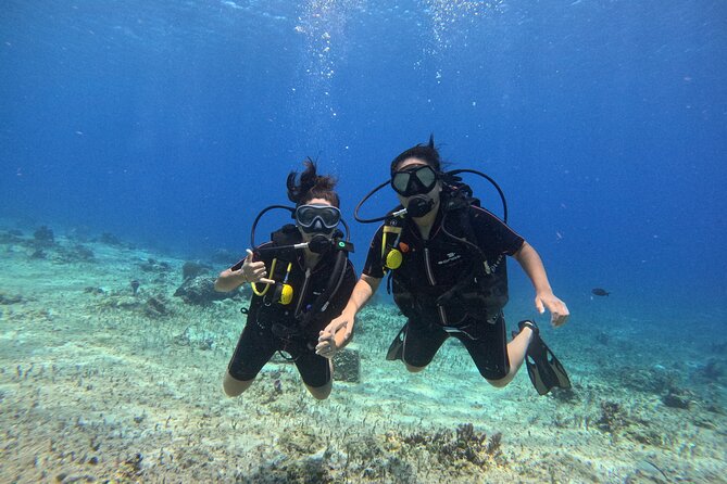 Try diving without previous experience from shore - Meeting point and the timing that shapes your day