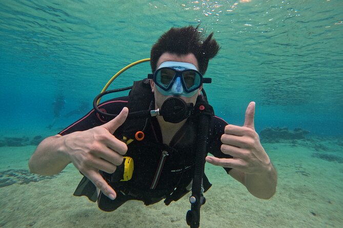 Try diving without previous experience from shore - Theory class first: what you’ll learn before you go down