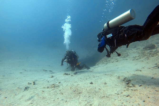 Try scuba dive - Key Highlights at a Glance