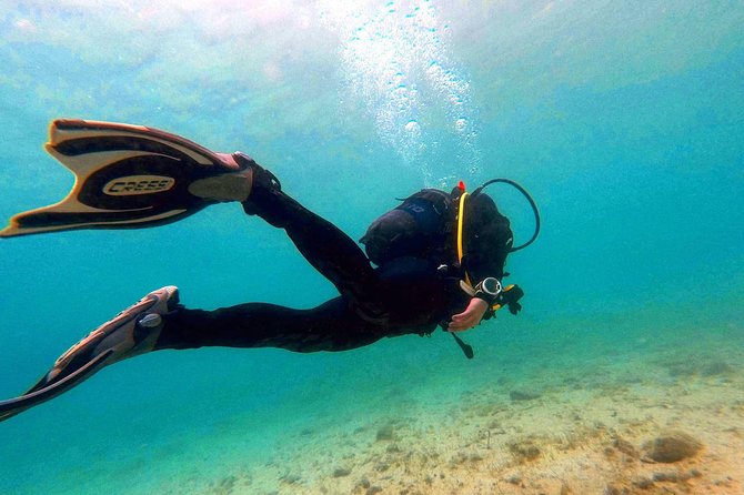 Try scuba dive - Your Water Session: About 40 Minutes Guided, With Gear and Basic Skills