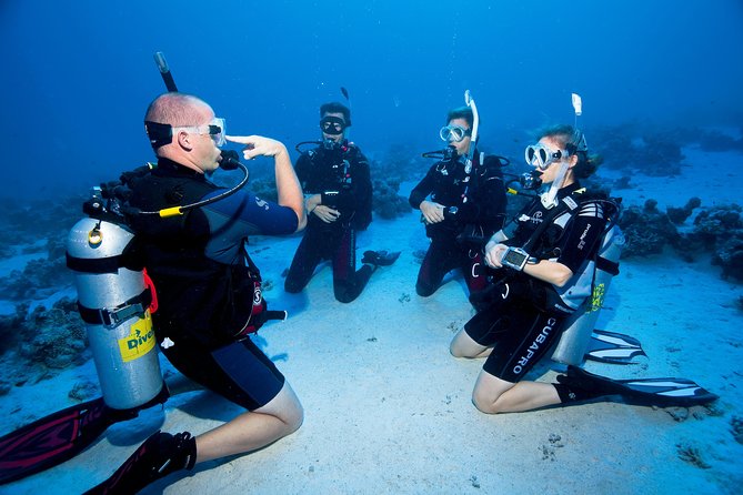 Try Scuba Dive (baptism of the sea) - Where you’ll start in Aci Castello, and why that matters