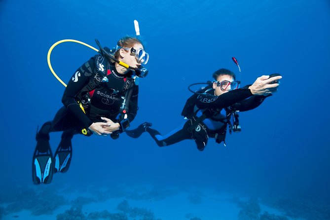 Try Scuba Dive (baptism of the sea) - Timing, group size, and the practical rhythm