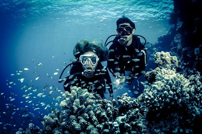 Try Scuba Dive (baptism of the sea) - Is it a fit for you? Who this works best for