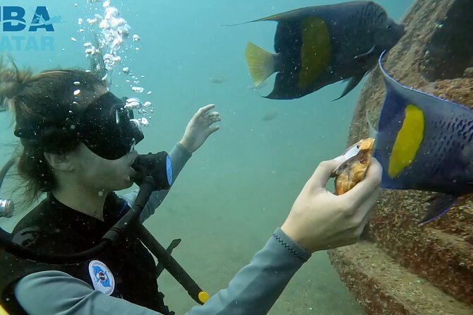 Try Scuba dive in Qatar - Doha’s Sealine Beach Setup: Easy Start, Real Instruction