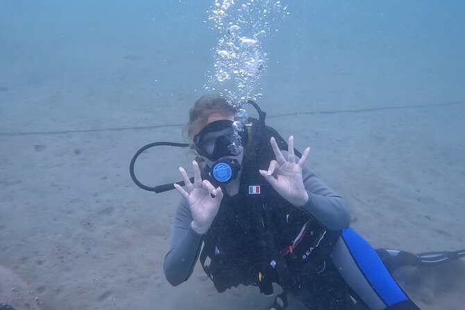 Try Scuba dive in Qatar - One Guided Session, Not a Trial Run Gone Wrong