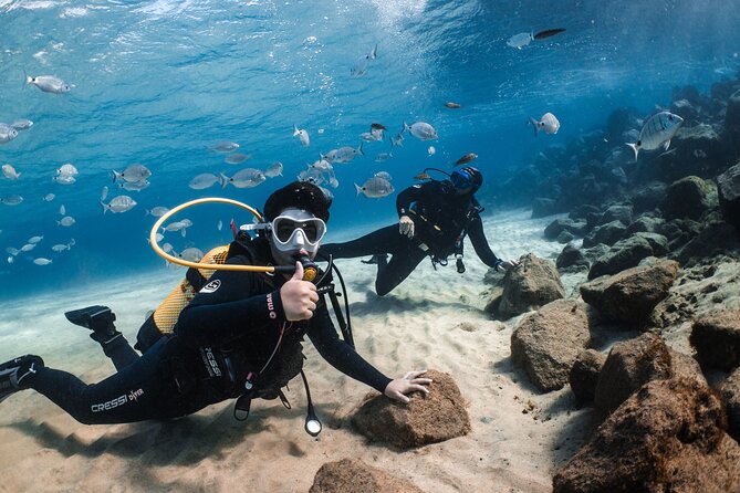 Try Scuba Diving | 1 dive - Meeting at Playa de las Cucharas: your start point near Costa Teguise