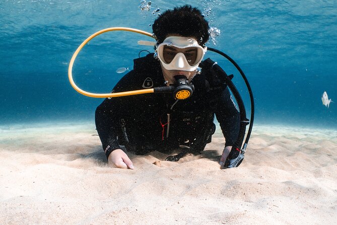 Try Scuba Diving | 1 dive - Guide attention in a group of 10: why small matters on day one