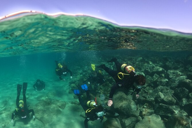Try Scuba Diving | 1 dive - Photos: plan for the 25 euros if you want keepsakes