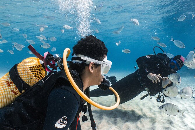 Try Scuba Diving | 1 dive - A 2.5-hour flow that doesn’t waste your energy