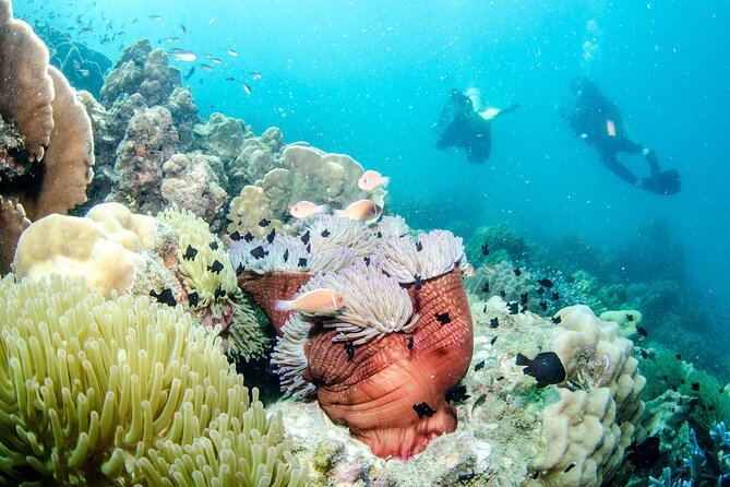 Try Scuba Diving 2 Dives Bang Bao - Bang Bao on Ko Chang: a calmer scuba setup with a small-group feel