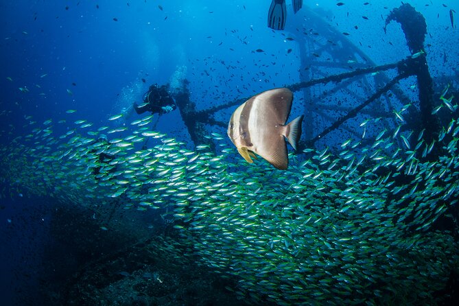 Try Scuba Diving 2 Dives Bang Bao - The boat day: drinks, fruits, snacks, and a buffet lunch that helps you recharge