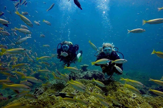 Try Scuba Diving - Meeting at Calata Italia and Timing Your 2.5 Hours