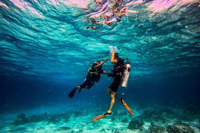 Try Scuba Diving - First Underwater Breathing Around Elba: Safety First, Beauty Guaranteed