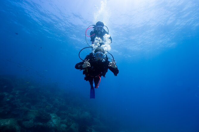 Try Scuba Diving at Cook Island – Guided Ocean Dive with Turtles - Key highlights worth planning around